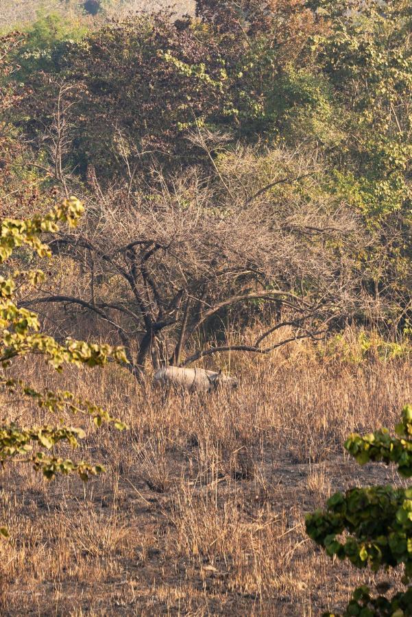 Tiger Tops Karnali Lodge Bardiya Exterior photo
