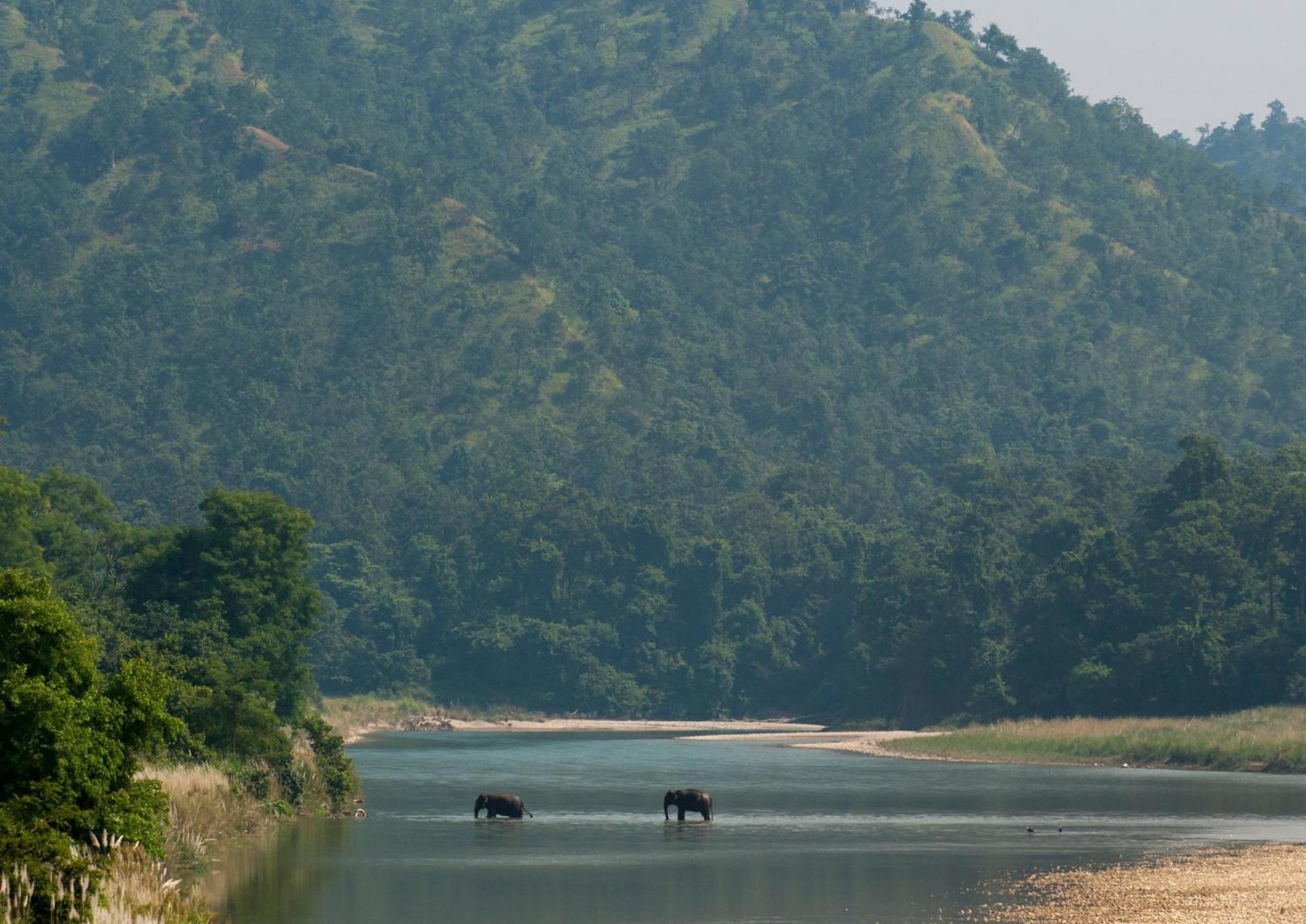 Tiger Tops Karnali Lodge Bardiya Exterior photo